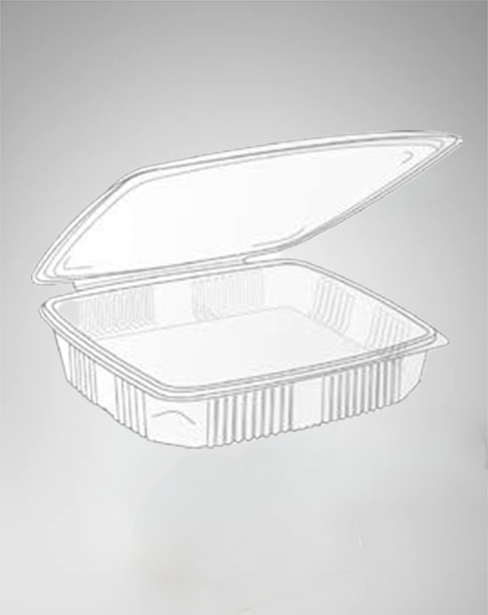 Barquette plastique chaleur à couvercle charnière - Lot de 50/-20°C +120°C