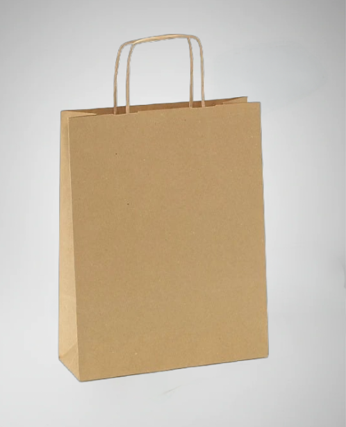 Sac bouteille kraft brun poignées torsadées-Lot de 300/200/100