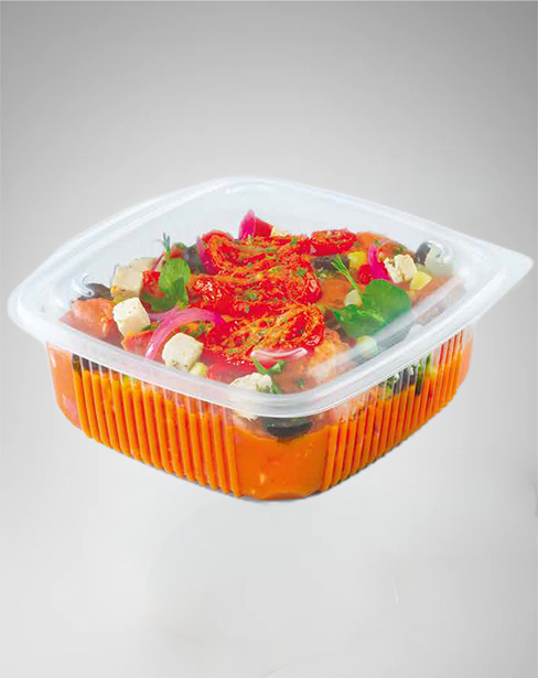 Barquette plastique chaleur à couvercle charnière - Lot de 50/-20°C +120°C