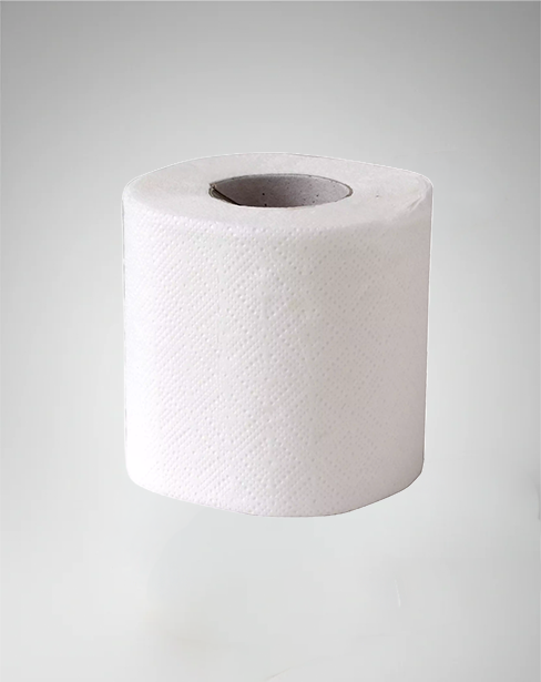 Papier hygiénique ménager /Lot de 96 RLX / Format domestique